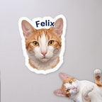 Personalized Cat Face Sticker with Name with a cat on a concrete floor (sample cat Felix)