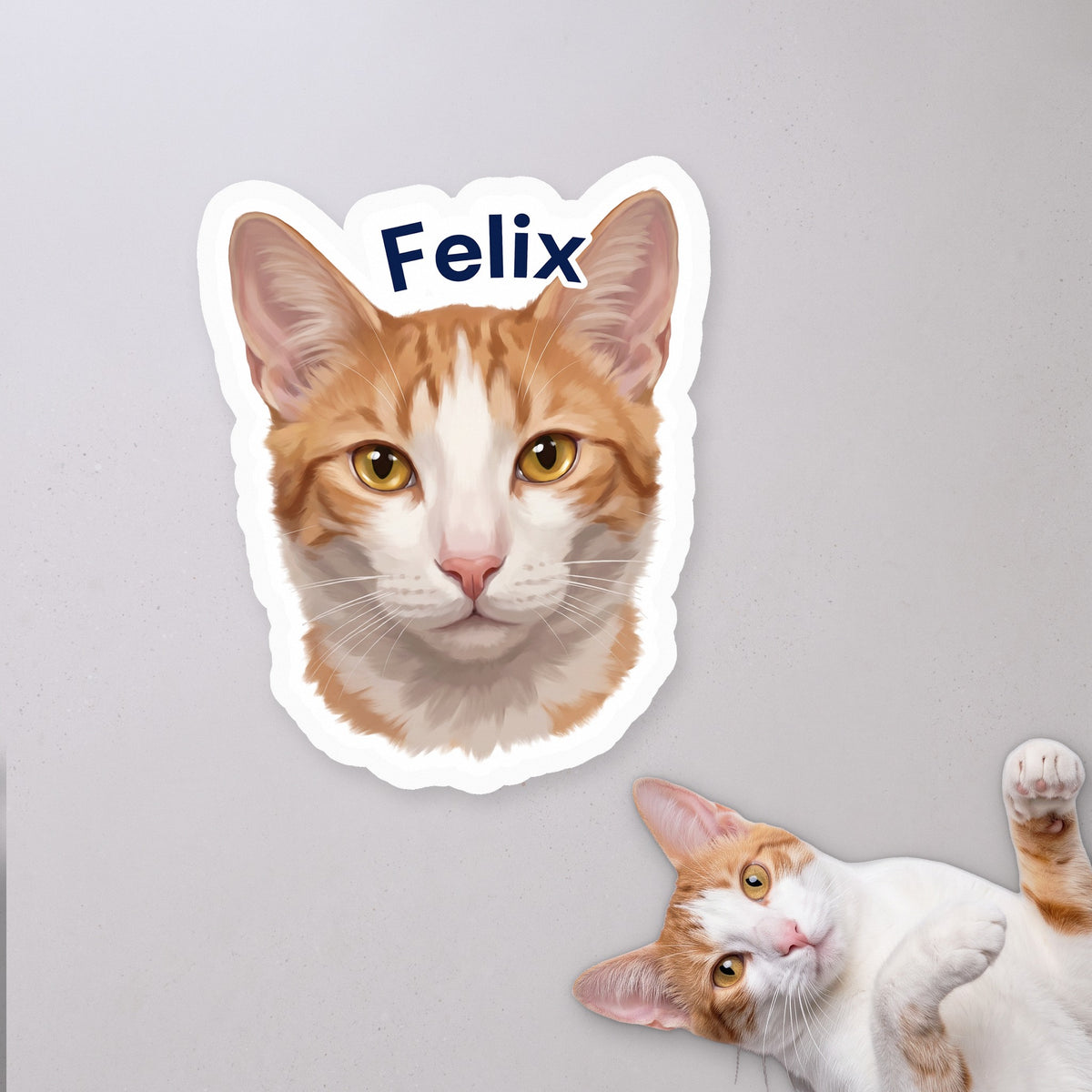 Personalized Cat Face Sticker with Name with a cat on a concrete floor (sample cat Felix)