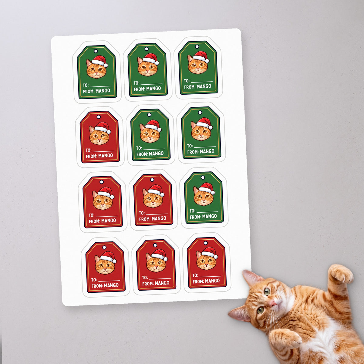 Personalized Cat Gift Tag Stickers, sticker sheet on a concrete floor (sample cat Mango)
