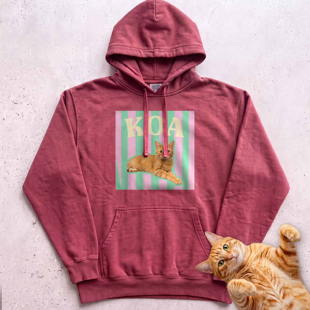 Personalized Cat Graphic Hoodie — Retro Pink & Green Stripes - Crimson