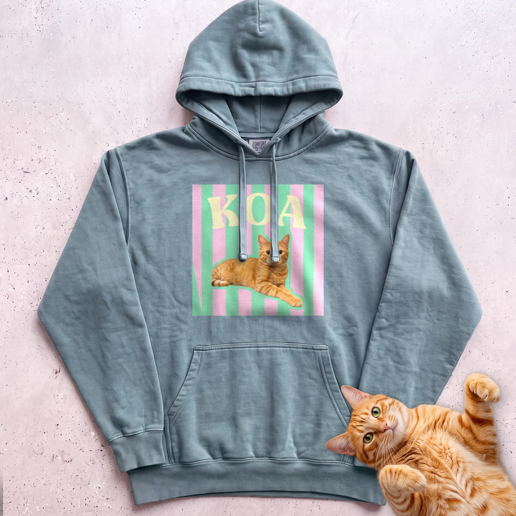 Personalized Cat Graphic Hoodie — Retro Pink & Green Stripes - Seafoam
