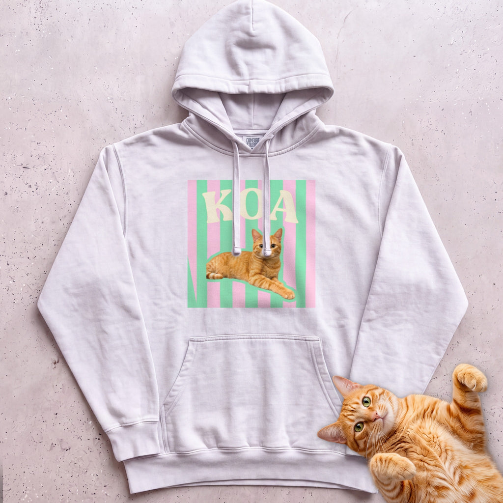 Personalized Cat Graphic Hoodie — Retro Pink & Green Stripes - White