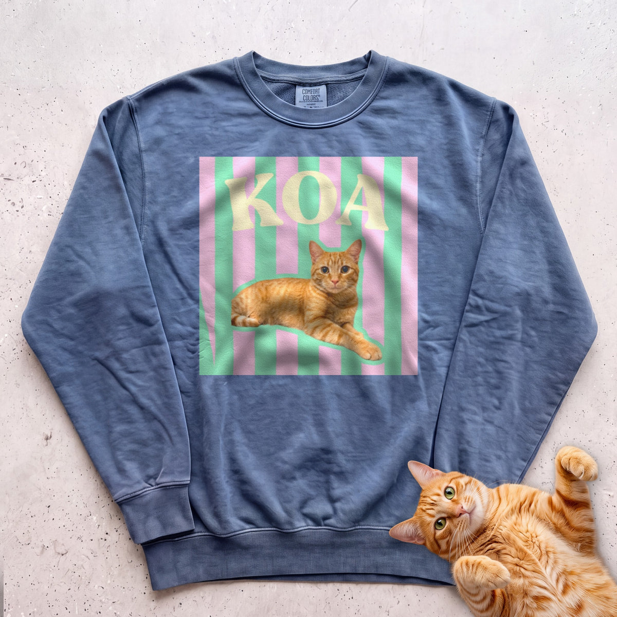 Personalized Cat Graphic Sweatshirt — Retro Pink & Green Stripes - Blue Jean