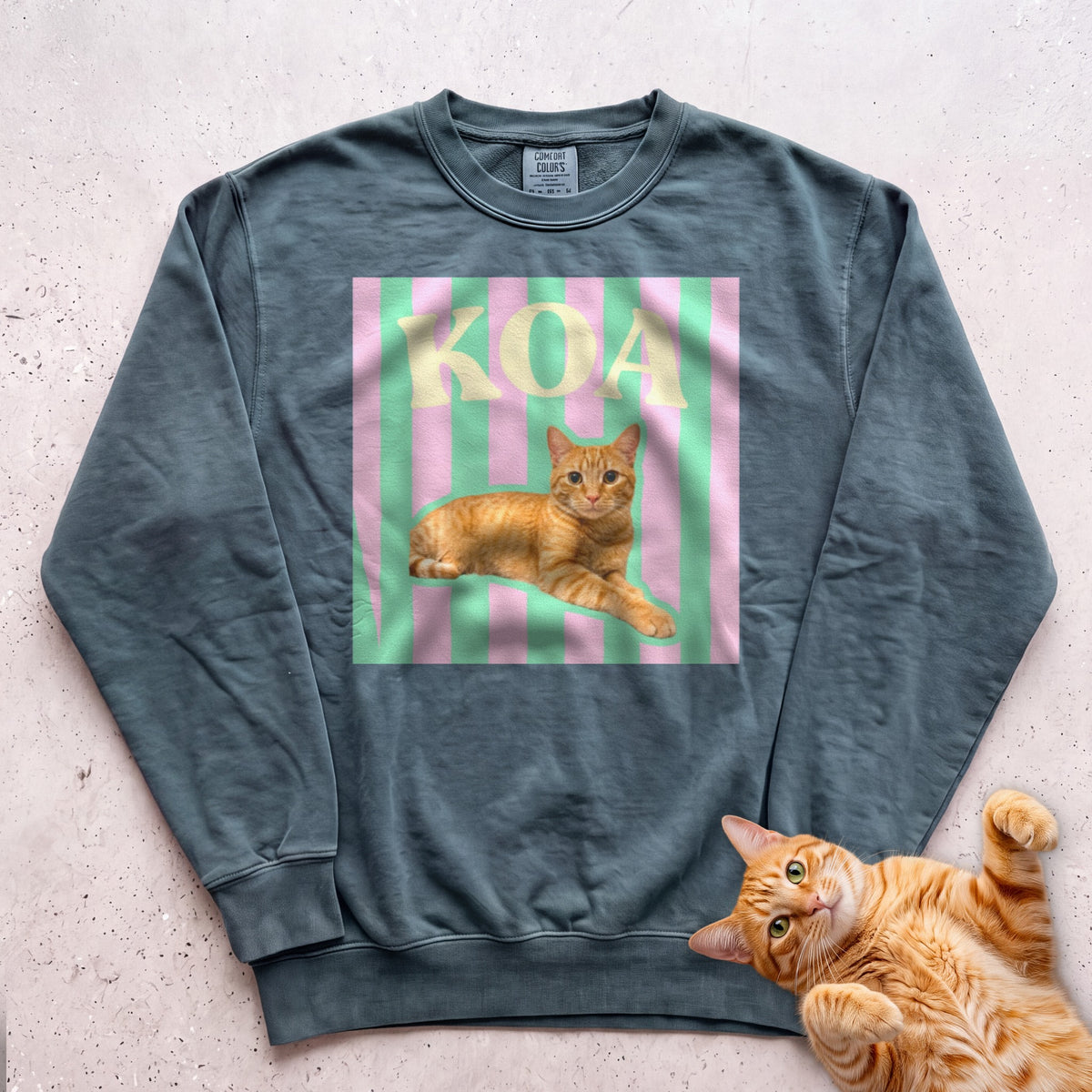 Personalized Cat Graphic Sweatshirt — Retro Pink & Green Stripes - Blue Spruce