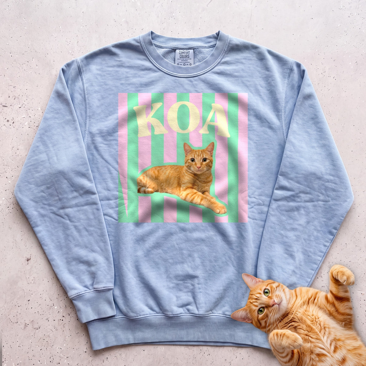 Personalized Cat Graphic Sweatshirt — Retro Pink & Green Stripes - Chambray