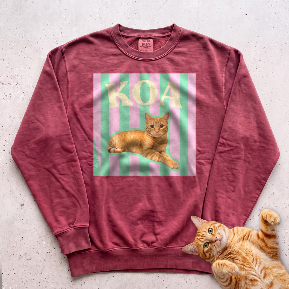 Personalized Cat Graphic Sweatshirt — Retro Pink & Green Stripes - Crimson