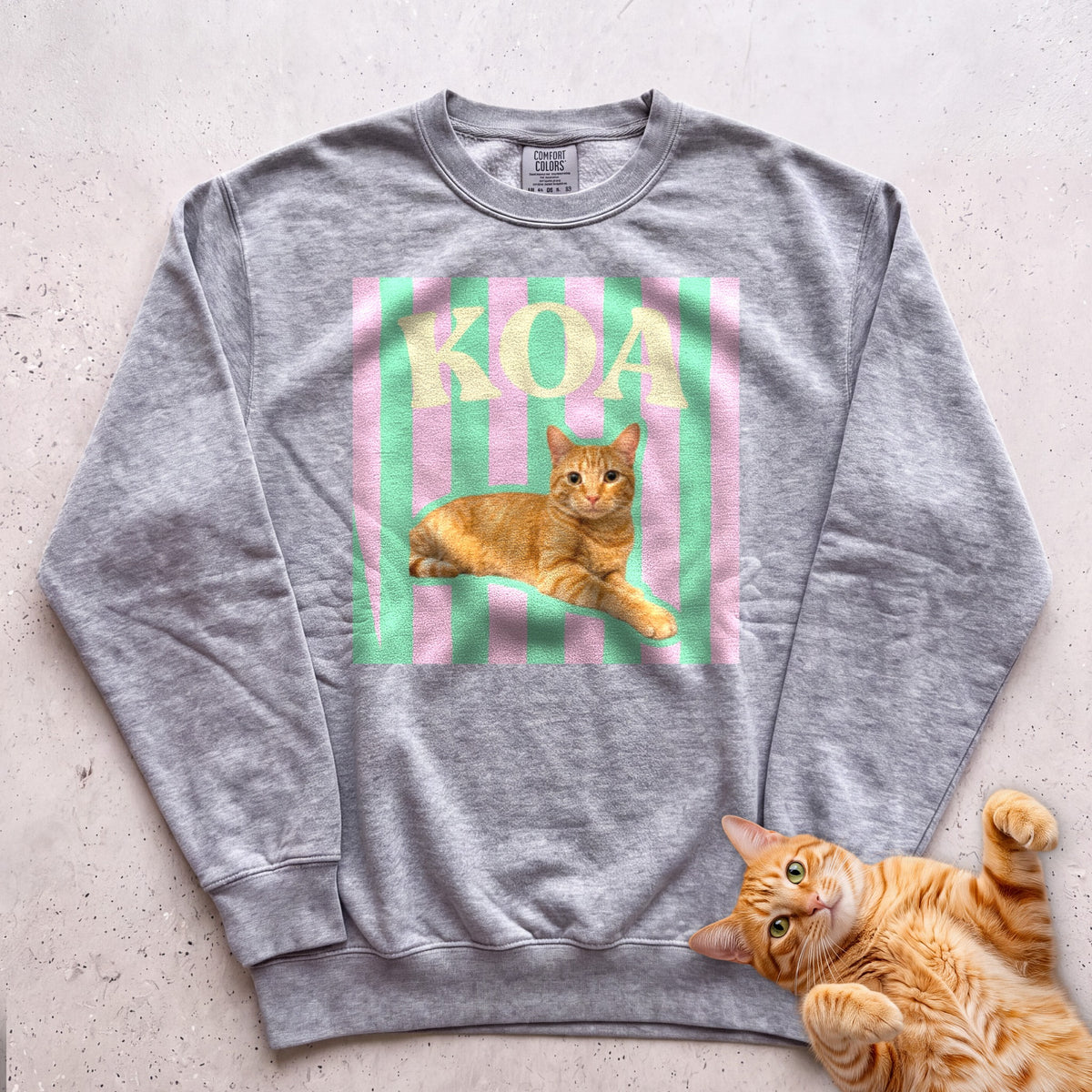 Personalized Cat Graphic Sweatshirt — Retro Pink & Green Stripes - Grey