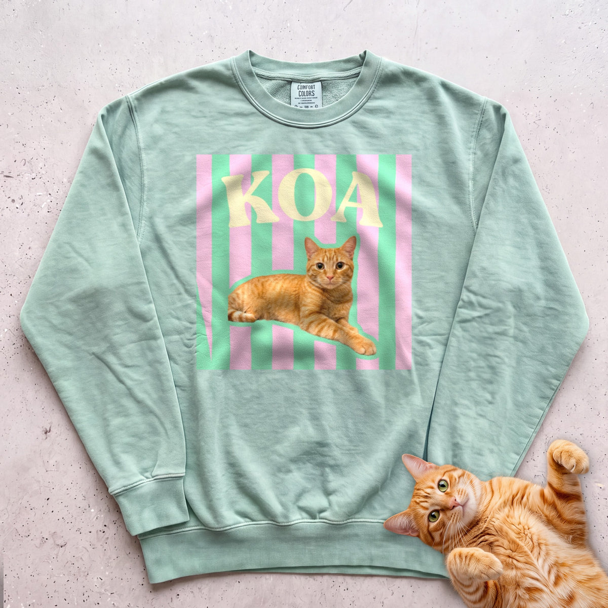Personalized Cat Graphic Sweatshirt — Retro Pink & Green Stripes - Light Green