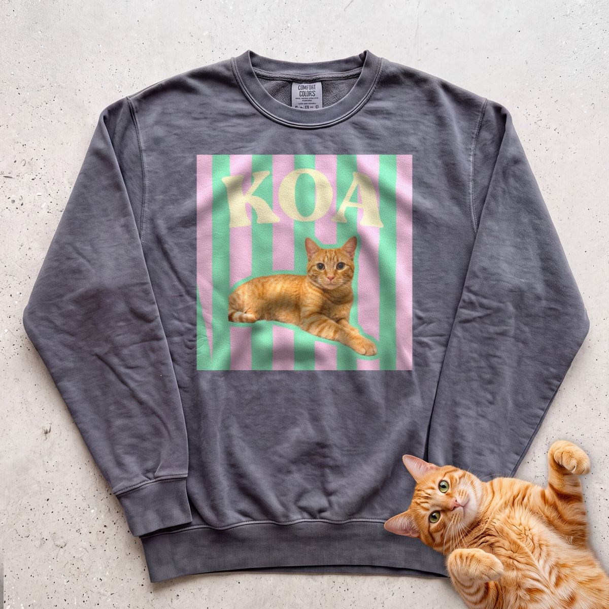 Personalized Cat Graphic Sweatshirt — Retro Pink & Green Stripes - Pepper