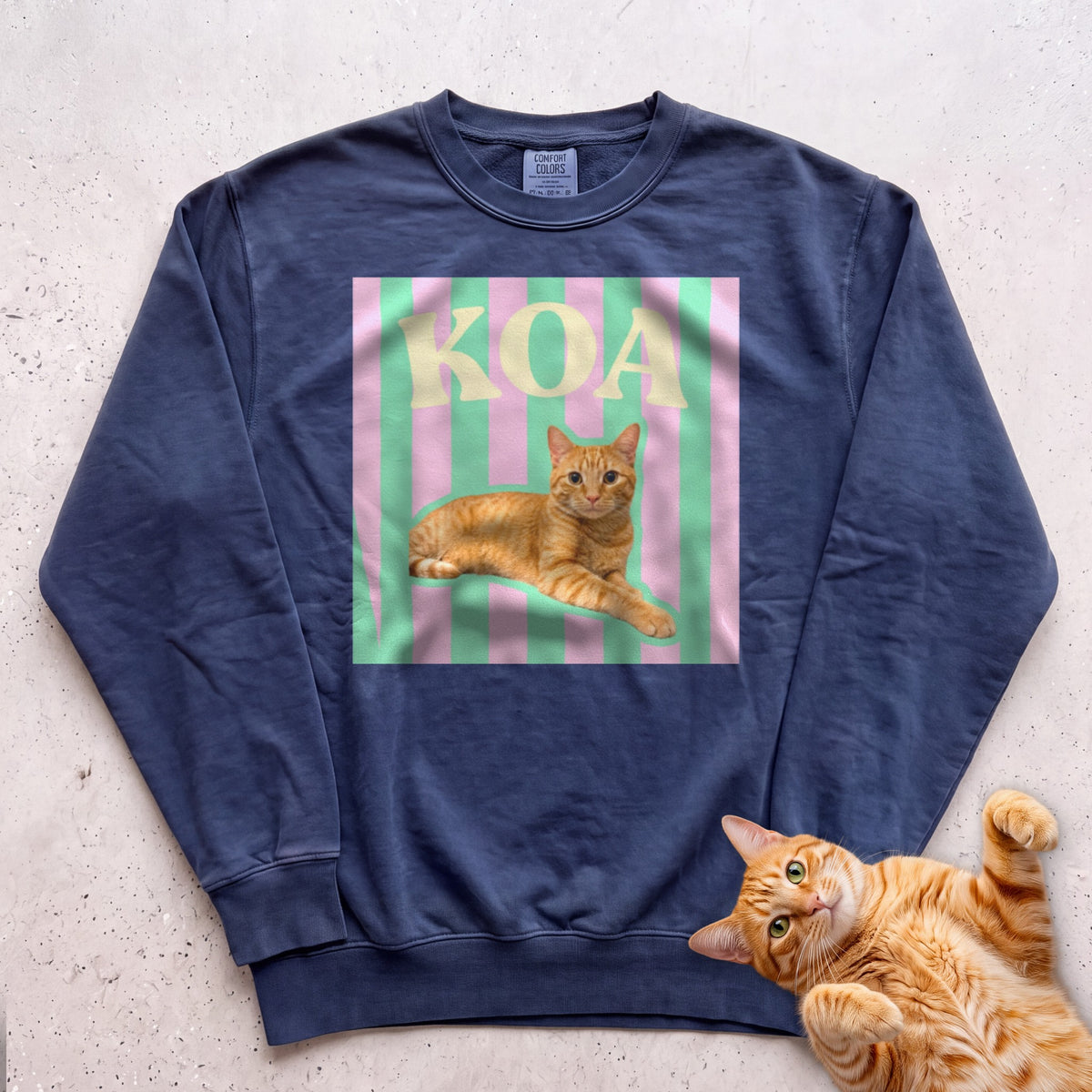 Personalized Cat Graphic Sweatshirt — Retro Pink & Green Stripes - True Navy