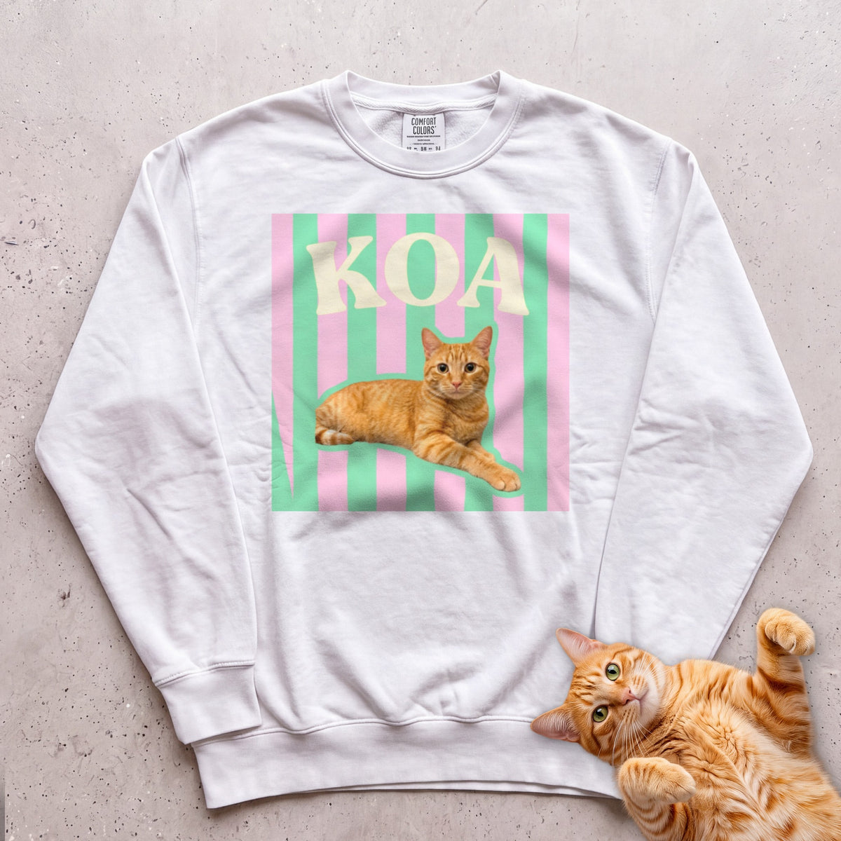 Personalized Cat Graphic Sweatshirt — Retro Pink & Green Stripes - White