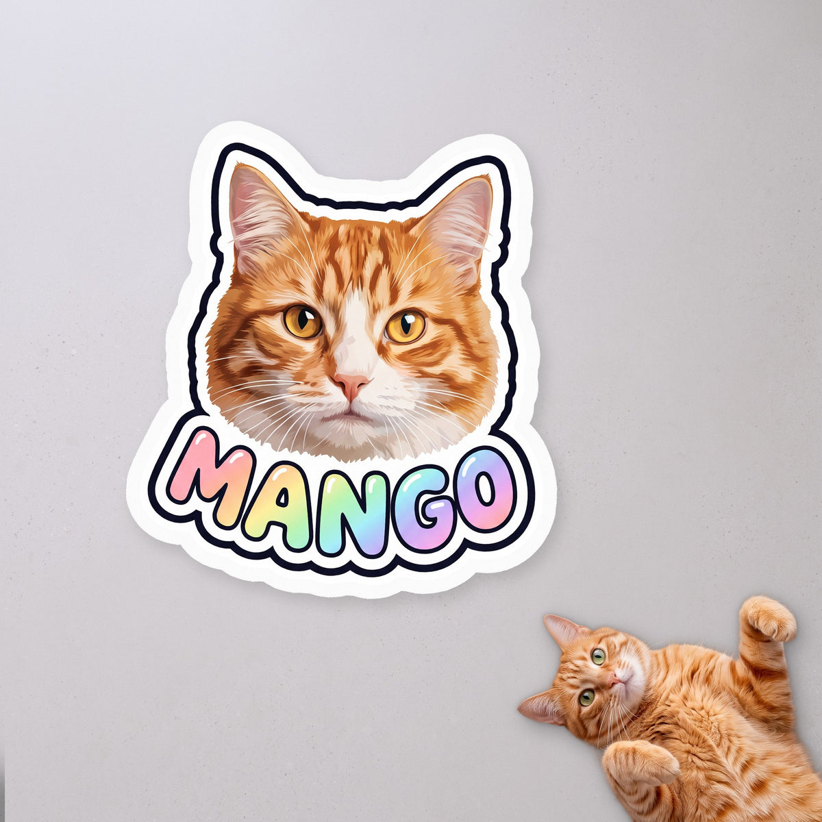 Personalized Cat Name Water Bottle Sticker with a cat on a concrete floor (sample cat Mango)