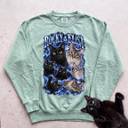 Personalized Cat Portrait Sweatshirt — Custom Pet Names Sweatshirt - Light Green