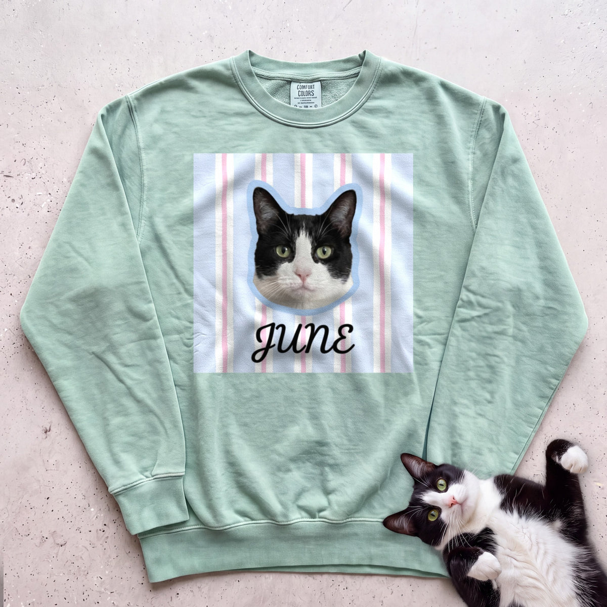 Personalized Cat Sweatshirt — Custom Pet Portrait Name, Cute Black & White Cat Design - Light Green