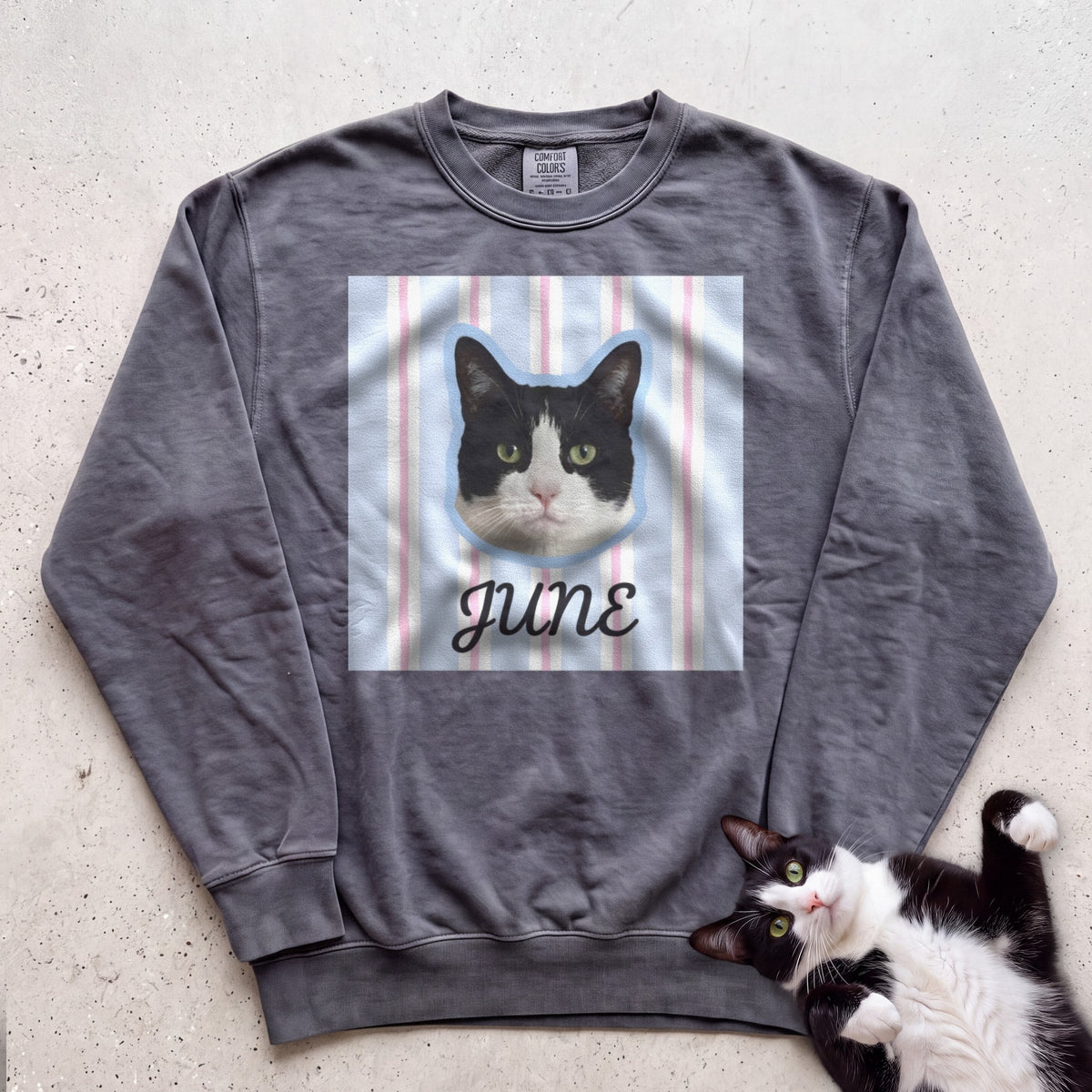 Personalized Cat Sweatshirt — Custom Pet Portrait Name, Cute Black & White Cat Design - Pepper