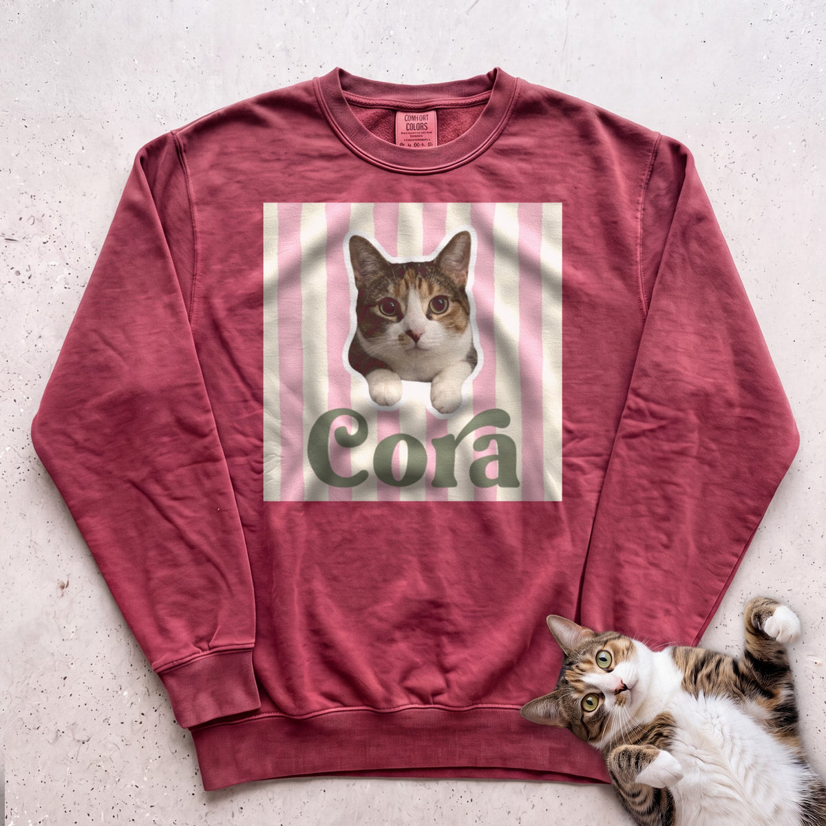 Personalized Cat Sweatshirt – Cute Cat Portrait on Pink Stripe Sweatshirt - Crimson