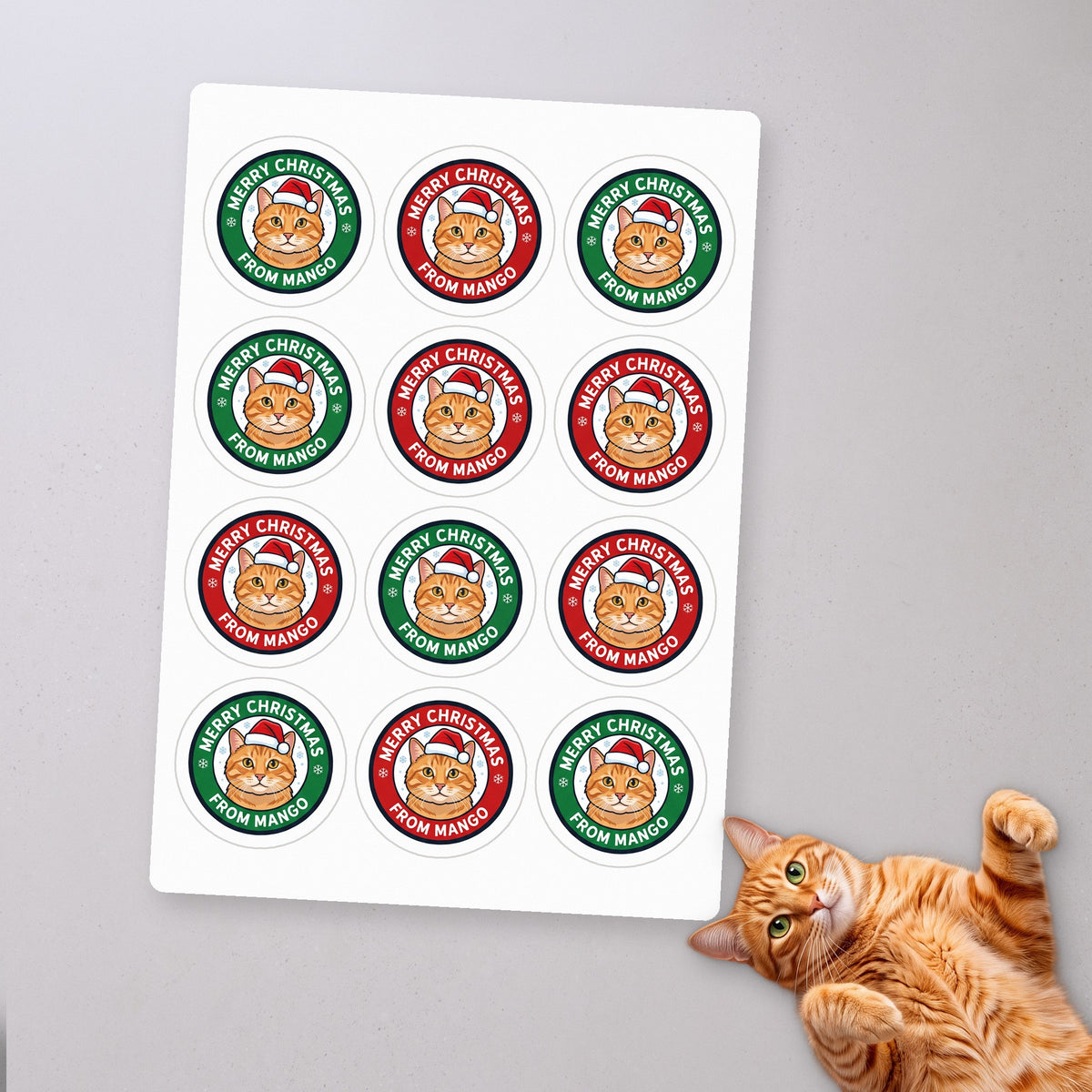 Personalized Christmas Card Seal Stickers, sticker sheet on a concrete floor (sample cat Mango)