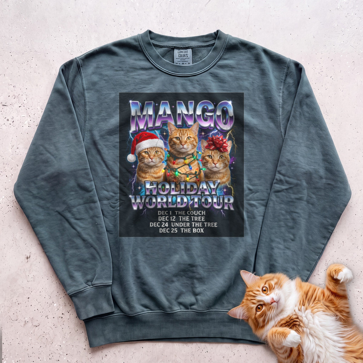 Personalized Holiday World Tour Cat Sweatshirt - Blue Spruce