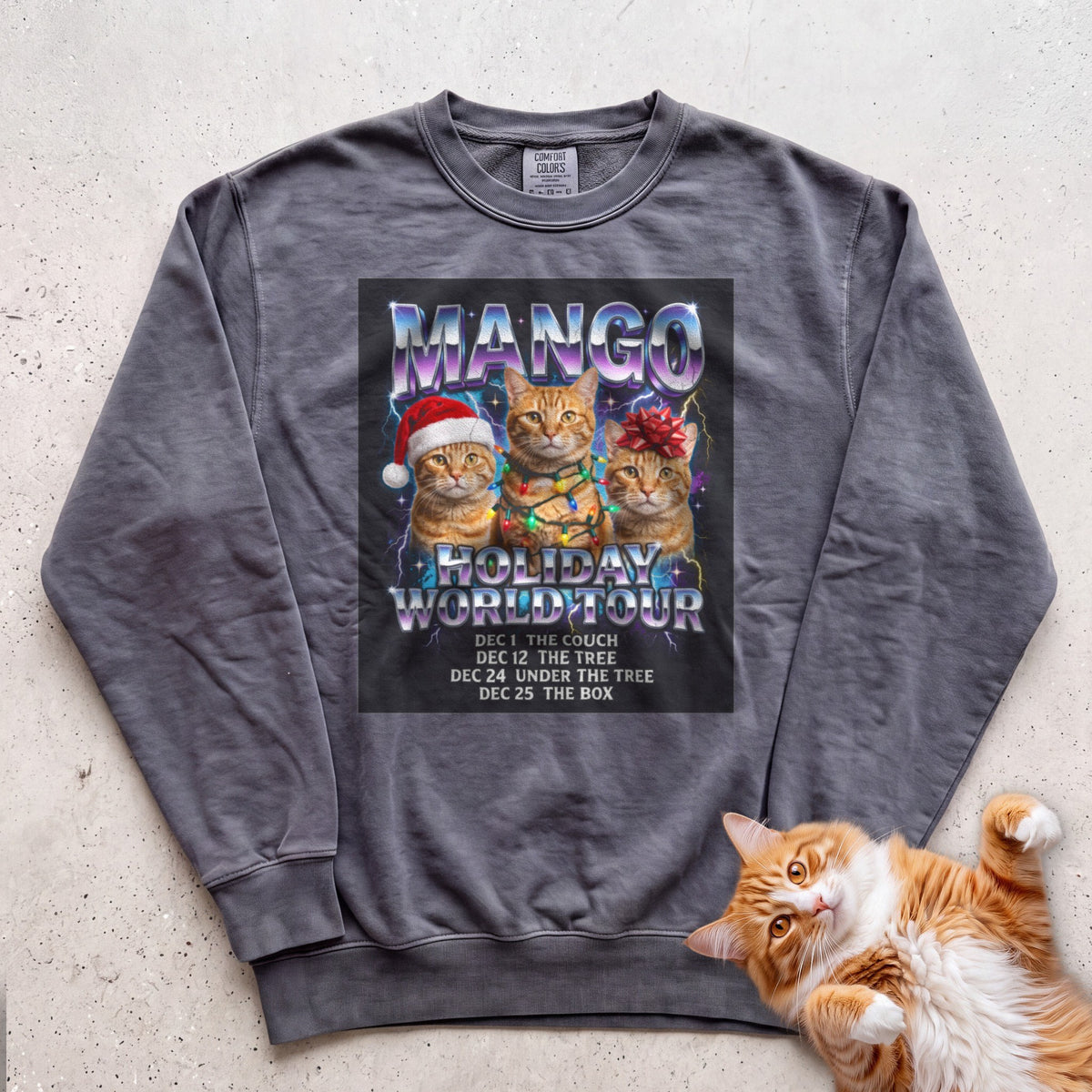 Personalized Holiday World Tour Cat Sweatshirt - Pepper