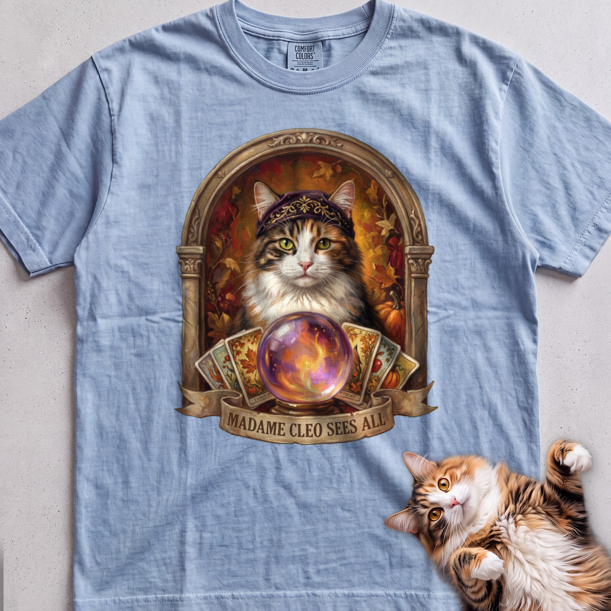 Personalized Madame Sees All Cat T-Shirt - Chambray