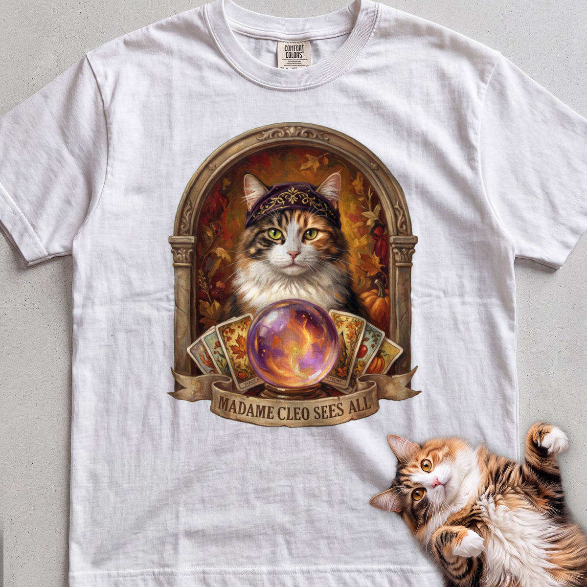 Personalized Madame Sees All Cat T-Shirt - White