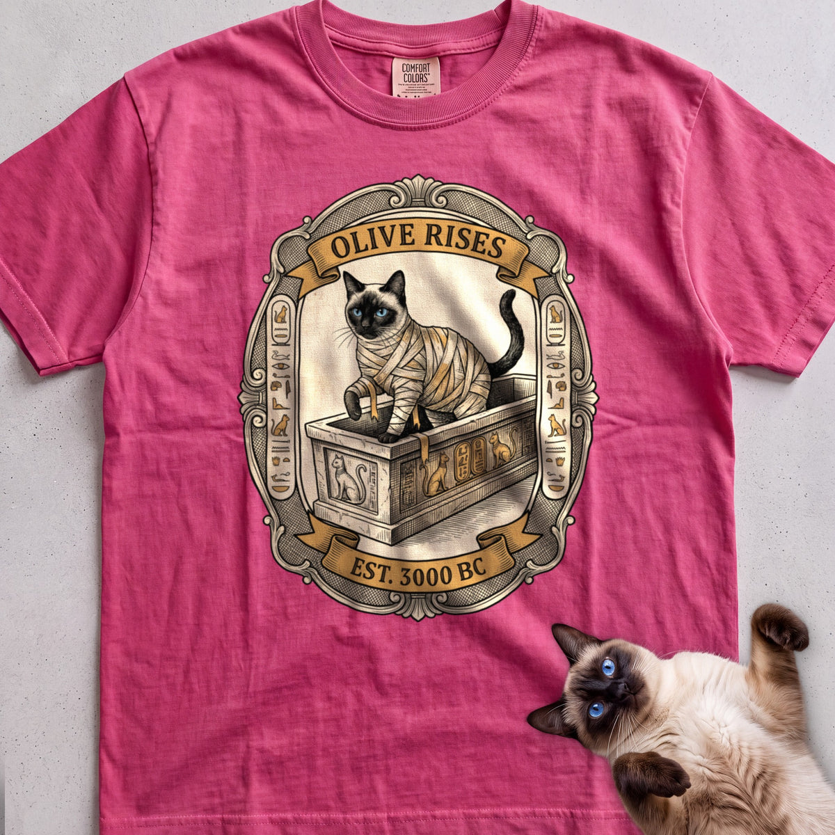 Personalized Mummy Rises Cat T-Shirt - Crunchberry