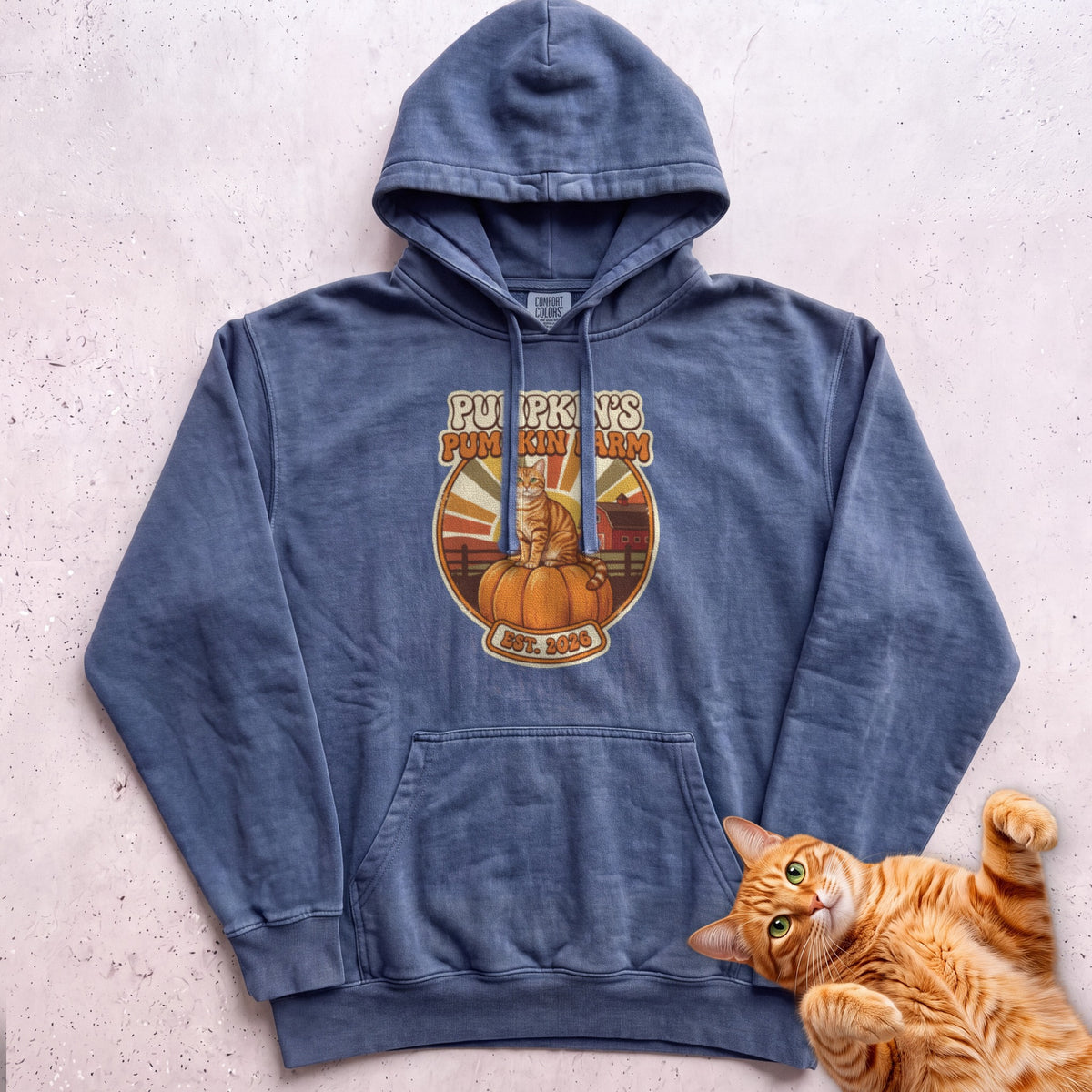 Personalized Pumpkin Farm Cat Hoodie - Denim