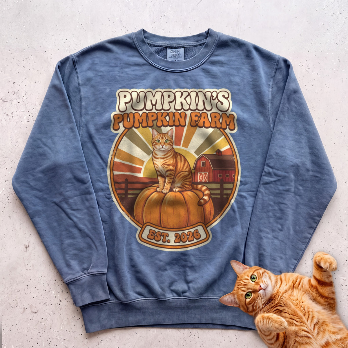 Personalized Pumpkin Farm Cat Sweatshirt - Blue Jean