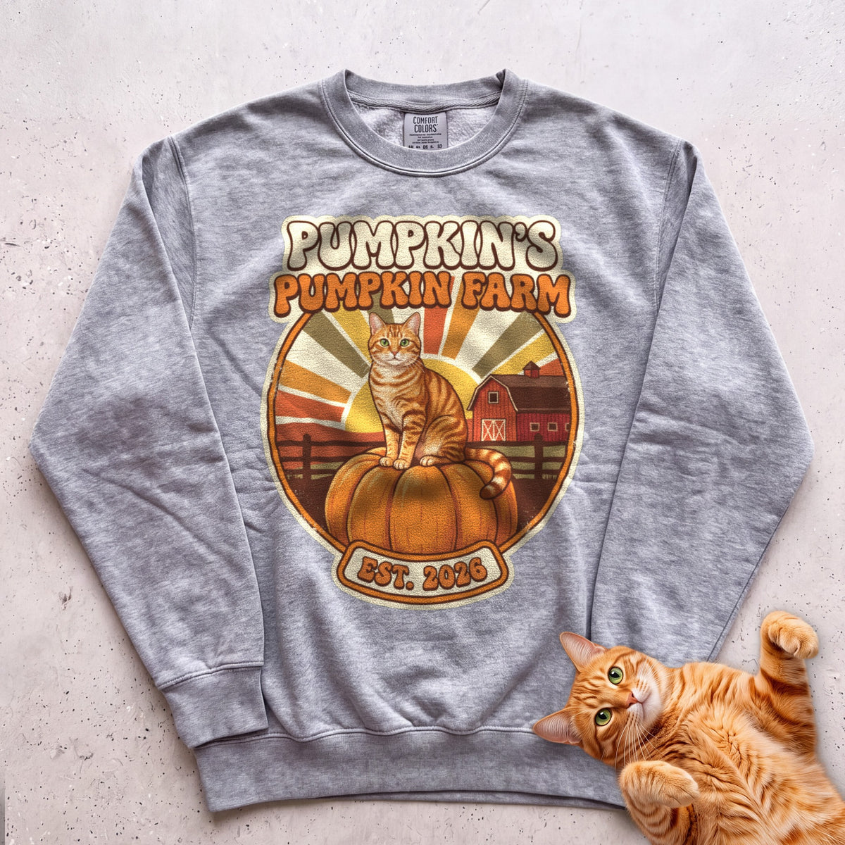 Personalized Pumpkin Farm Cat Sweatshirt - Grey
