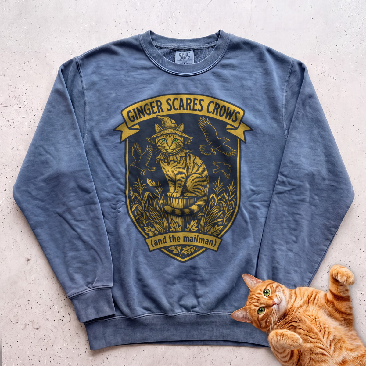 Personalized Scarecrow Cat Sweatshirt - Blue Jean
