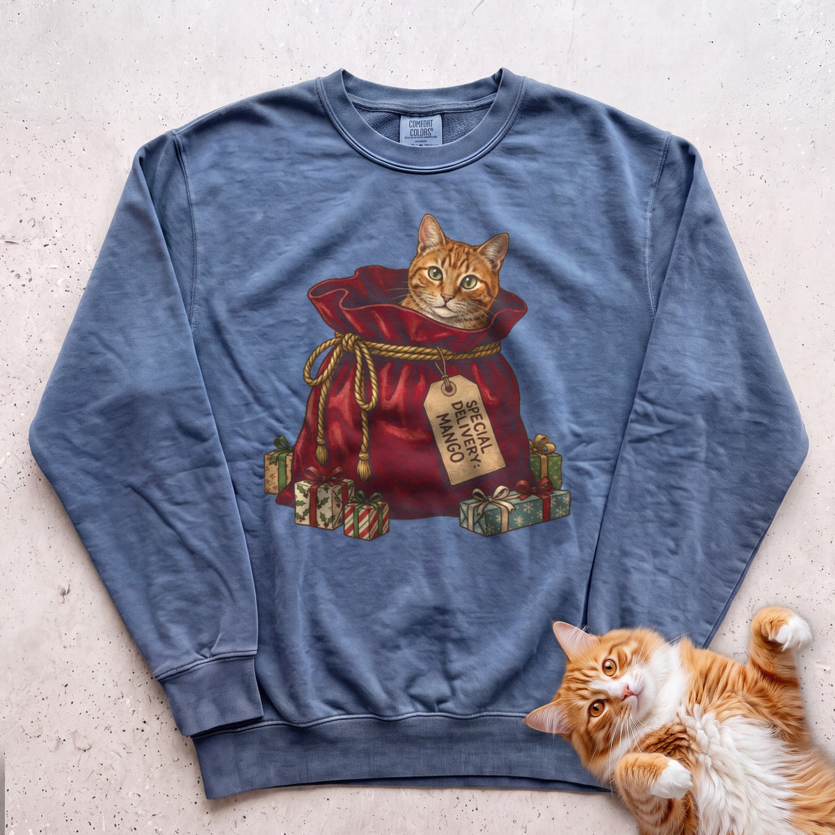 Personalized Special Delivery Cat Sweatshirt - Blue Jean