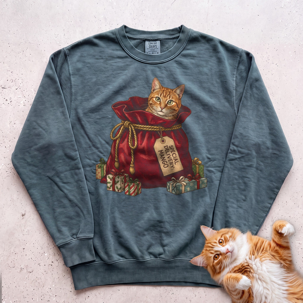 Personalized Special Delivery Cat Sweatshirt - Blue Spruce