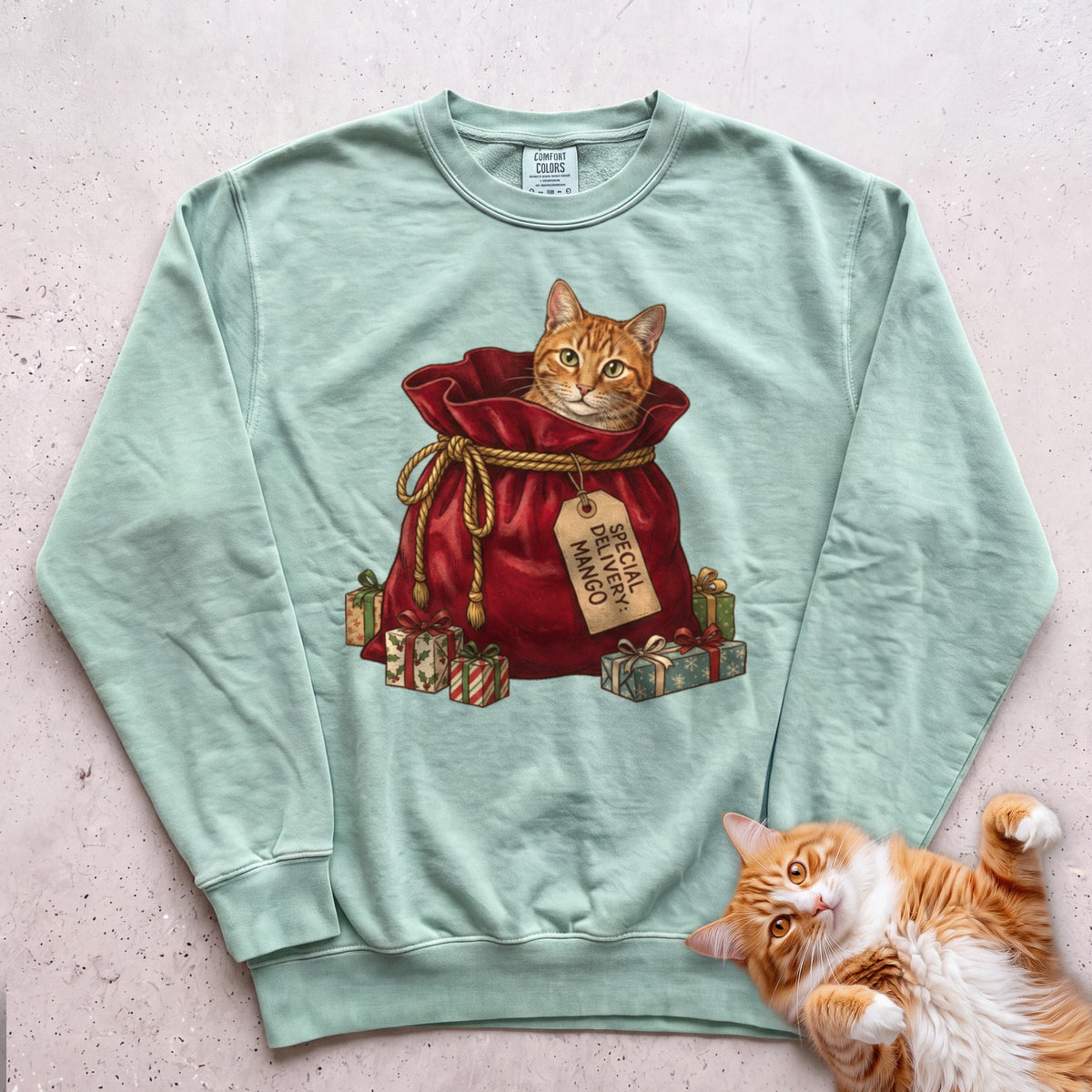 Personalized Special Delivery Cat Sweatshirt - Light Green