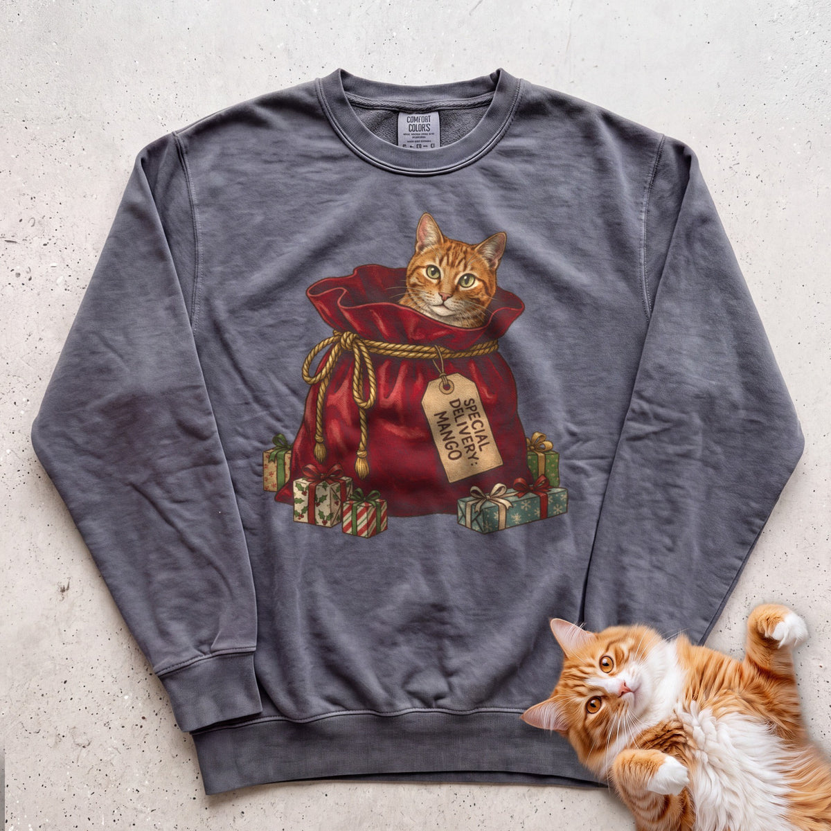 Personalized Special Delivery Cat Sweatshirt - Pepper
