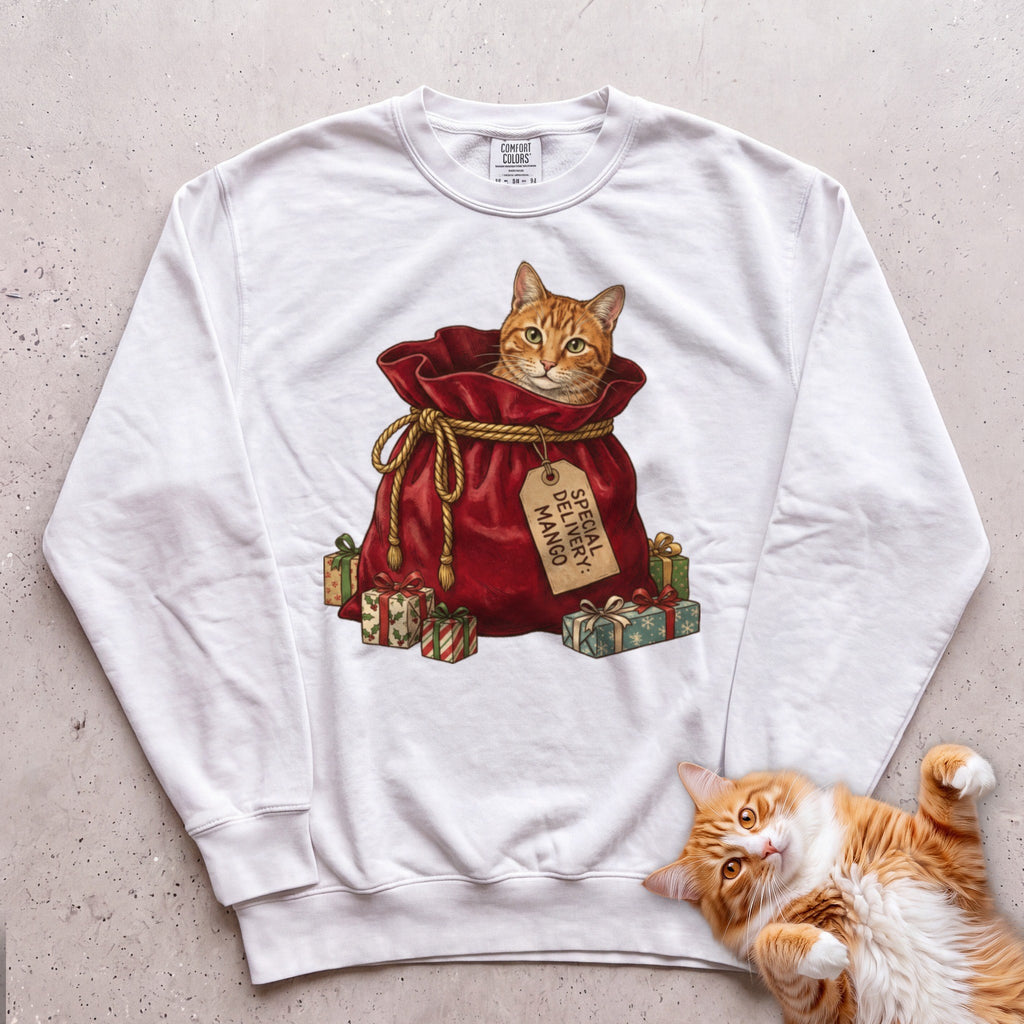 Personalized Special Delivery Cat Sweatshirt - White