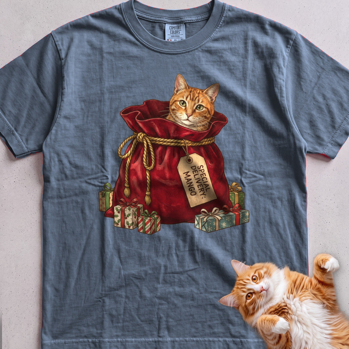 Personalized Special Delivery Cat T-Shirt - Blue Jean