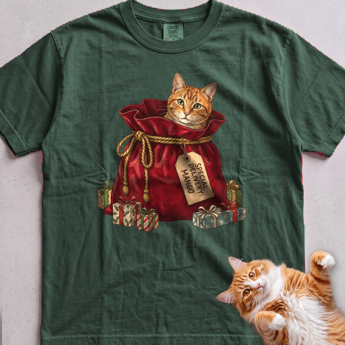 Personalized Special Delivery Cat T-Shirt - Blue Spruce