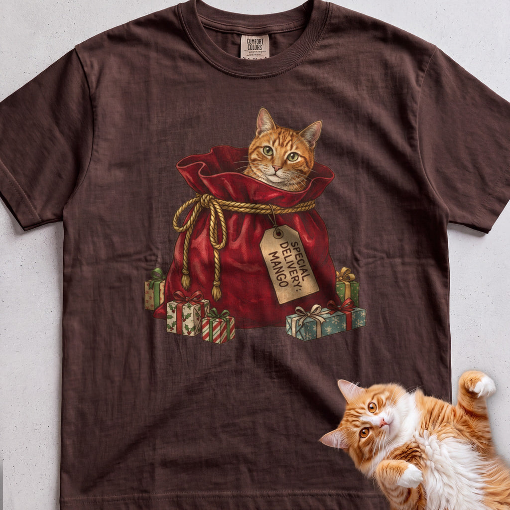 Personalized Special Delivery Cat T-Shirt - Espresso