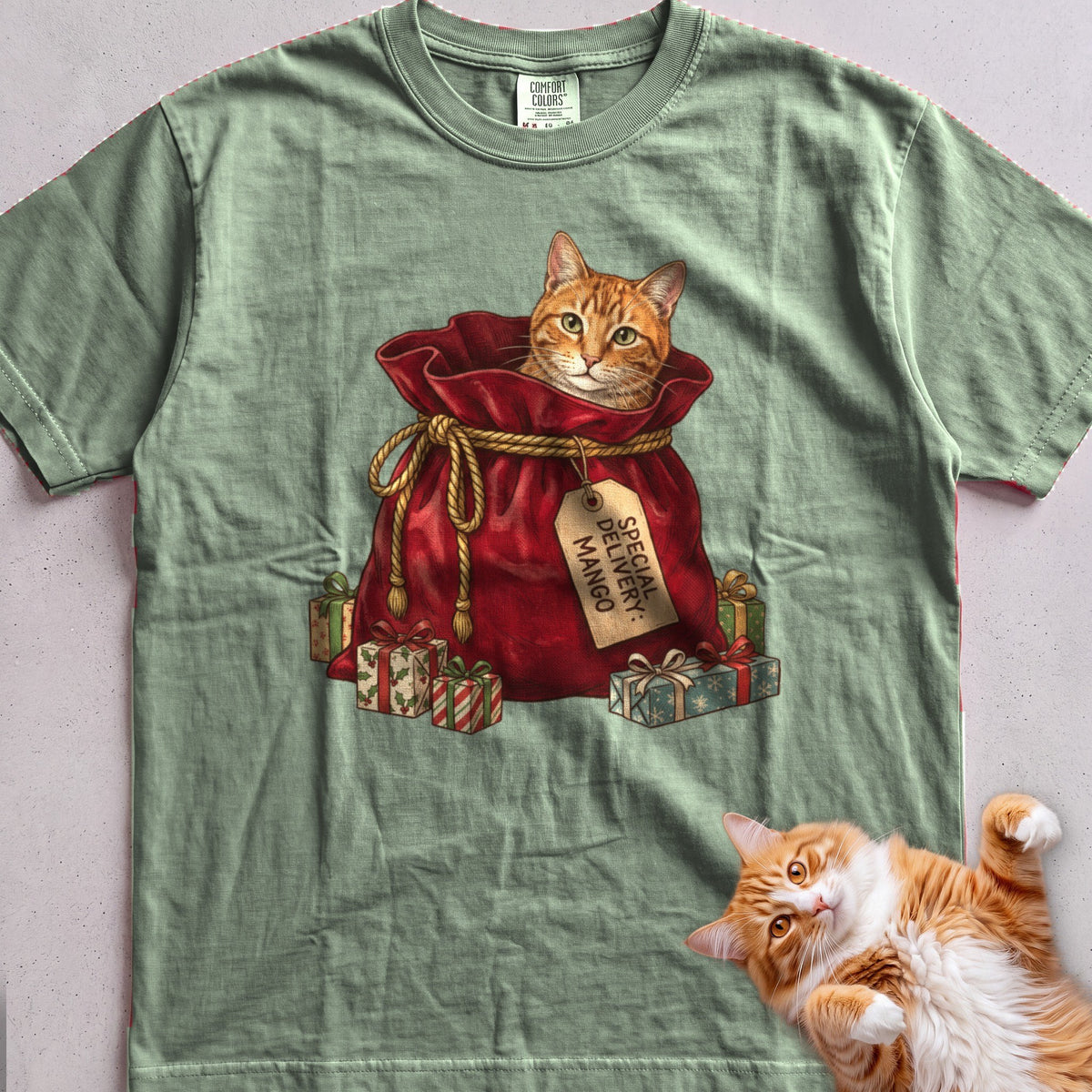 Personalized Special Delivery Cat T-Shirt - Light Green