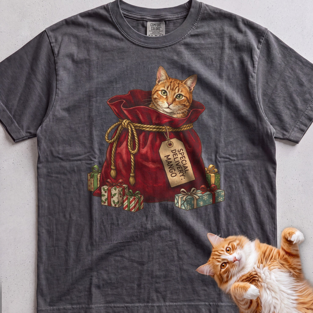 Personalized Special Delivery Cat T-Shirt - Pepper