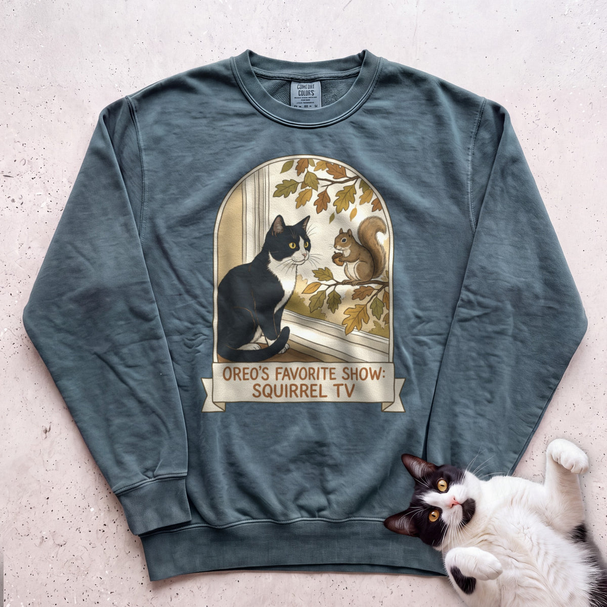 Personalized Squirrel TV Cat Sweatshirt - Blue Spruce