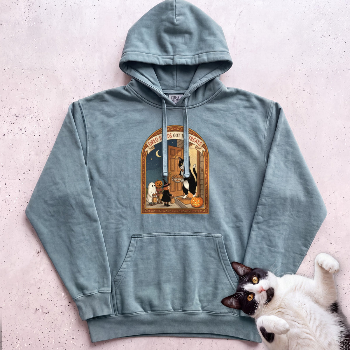 Personalized Trick or Treat Door Cat Hoodie - Seafoam