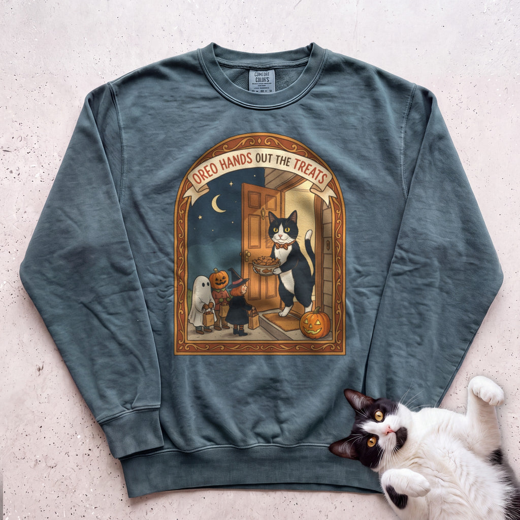 Personalized Trick or Treat Door Cat Sweatshirt - Blue Spruce