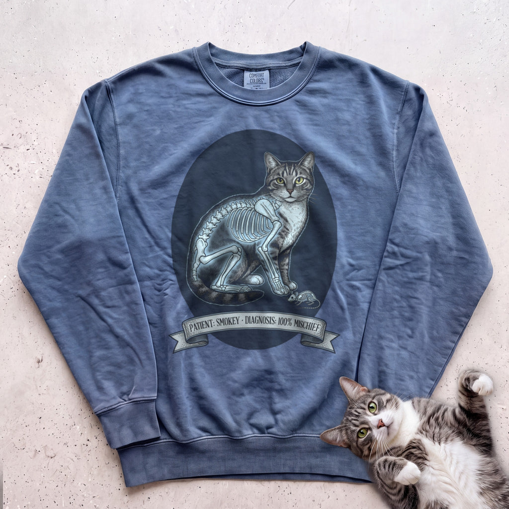 Personalized X-Ray Mischief Diagnosis Cat Sweatshirt - Blue Jean