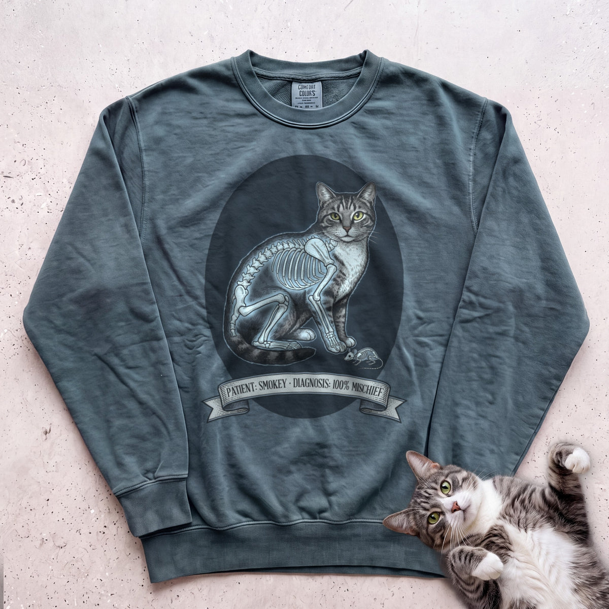 Personalized X-Ray Mischief Diagnosis Cat Sweatshirt - Blue Spruce
