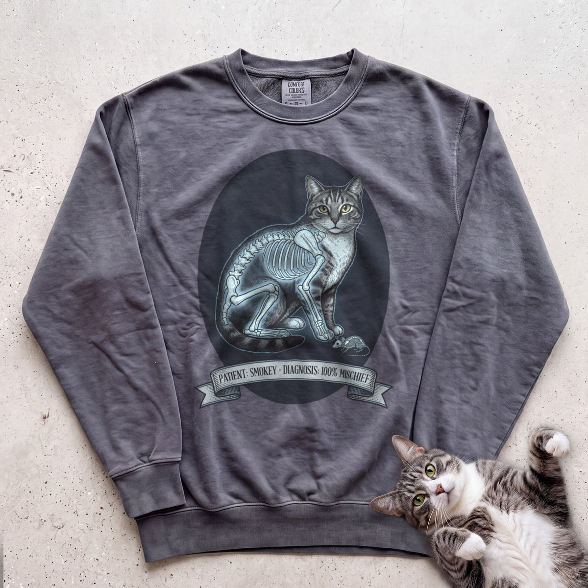 Personalized X-Ray Mischief Diagnosis Cat Sweatshirt - Pepper