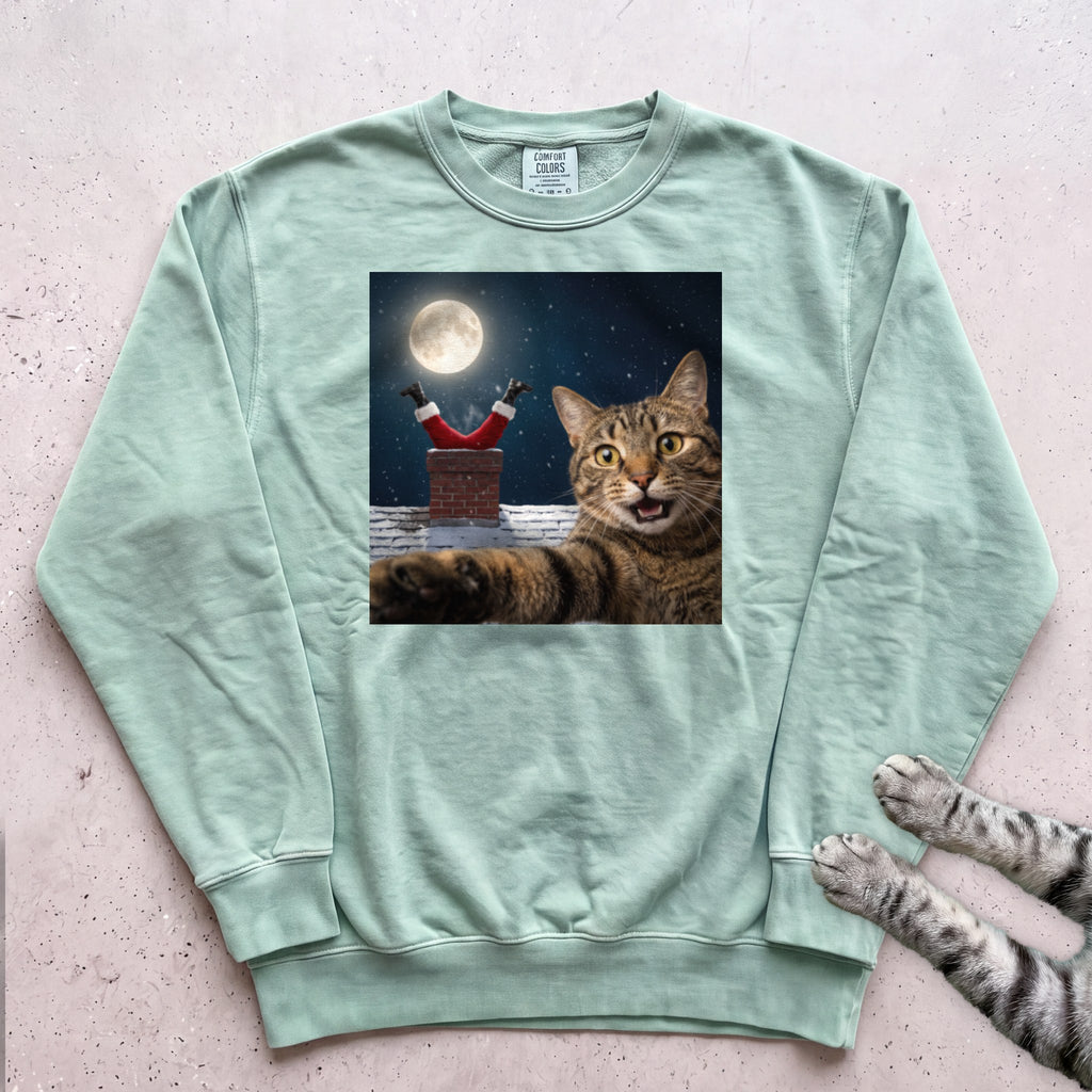 Santa Got Stuck Cat Sweatshirt - Light Green