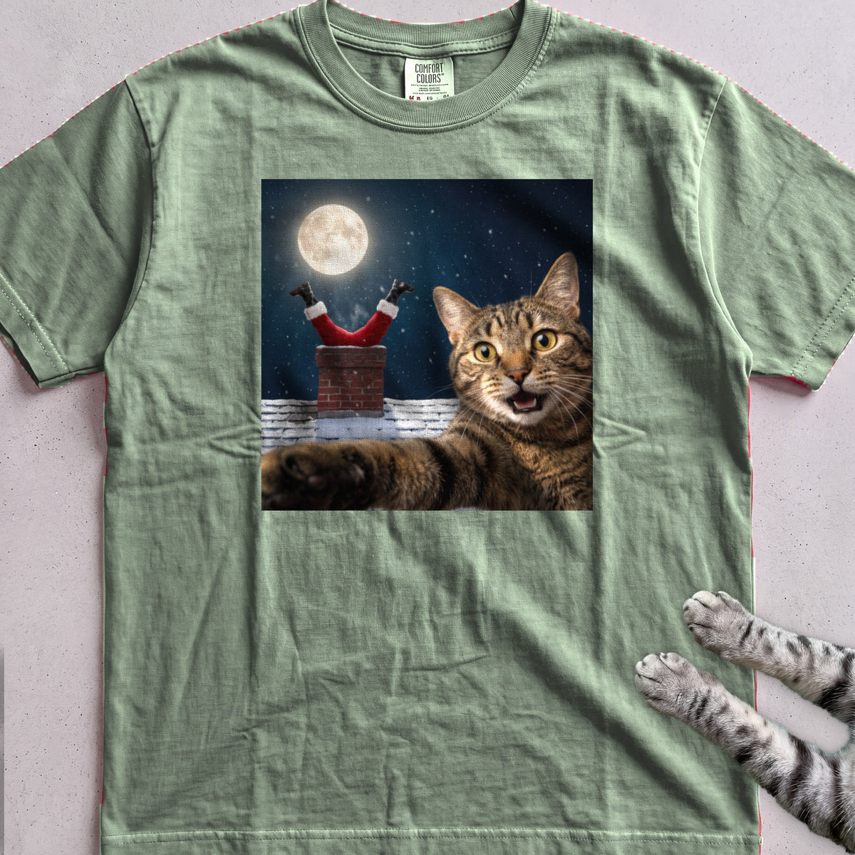 Santa Got Stuck Cat T-Shirt - Light Green