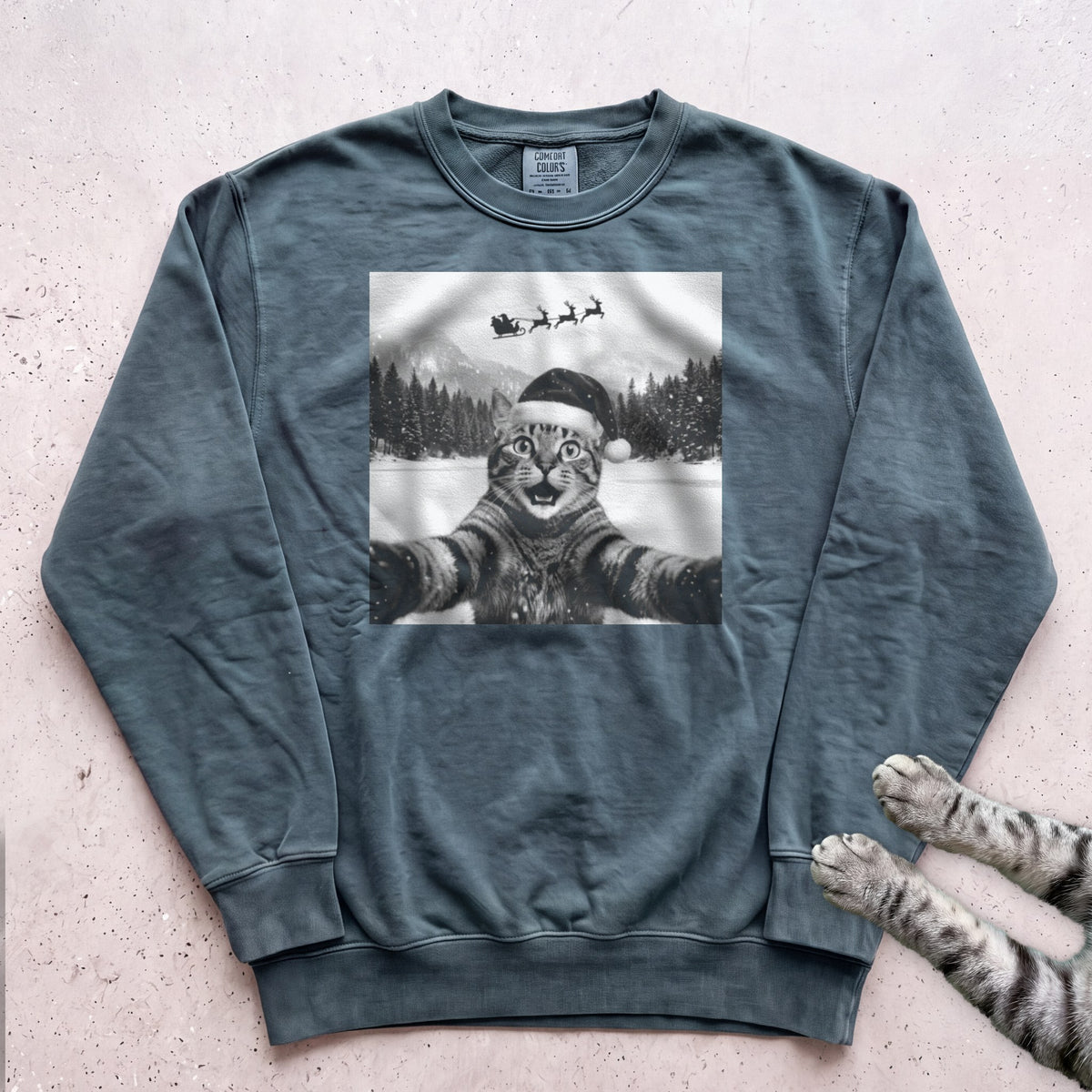 Santa Photobomb Selfie Cat Sweatshirt - Blue Spruce