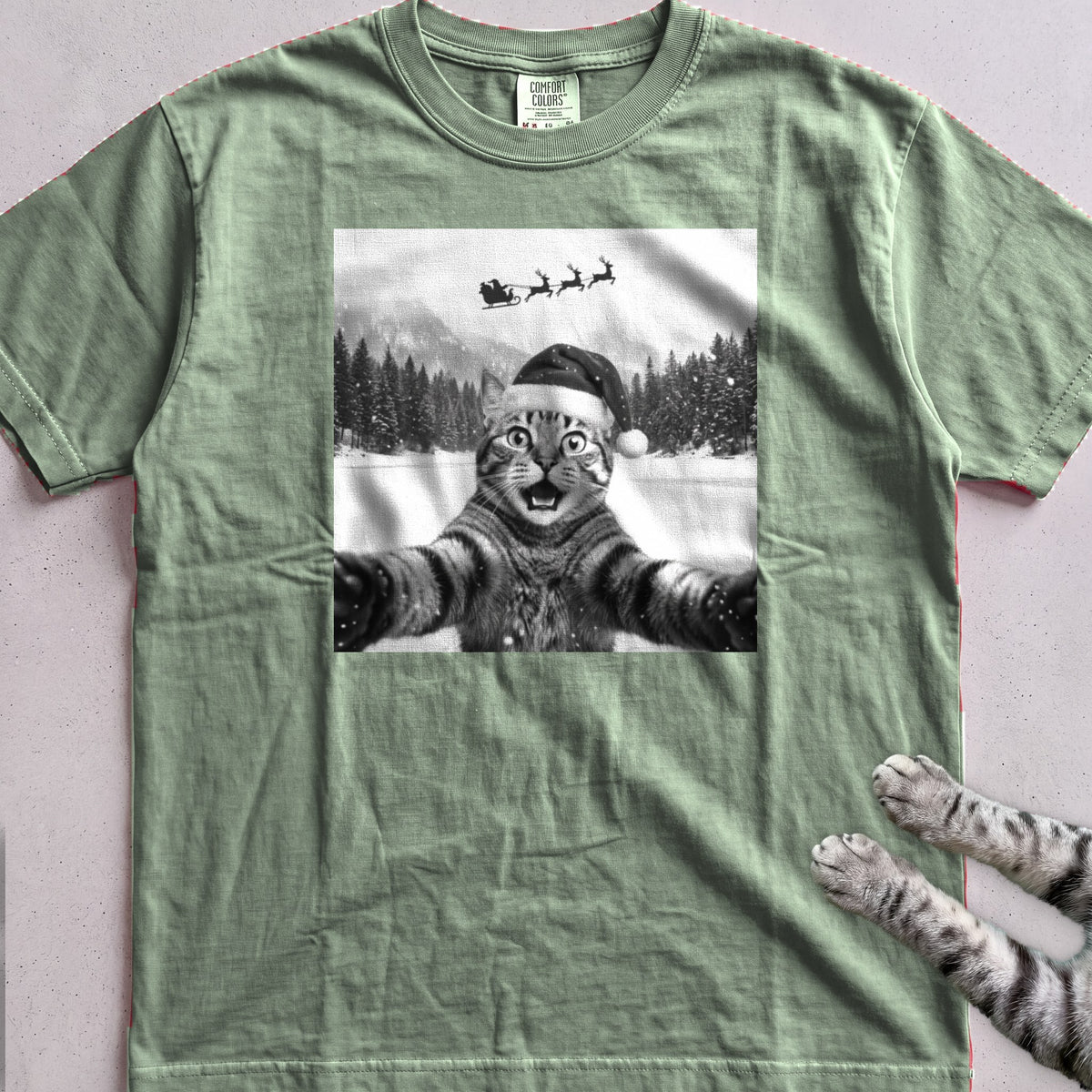 Santa Photobomb Selfie Cat T-Shirt - Light Green